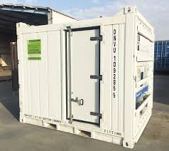 10ft Reefer Shipping Container – Compact Cold Storage Solution